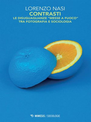 cover image of Contrasti